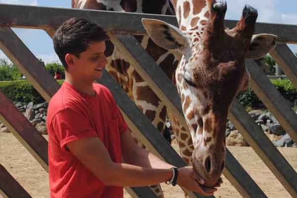 Man feeding giraffe