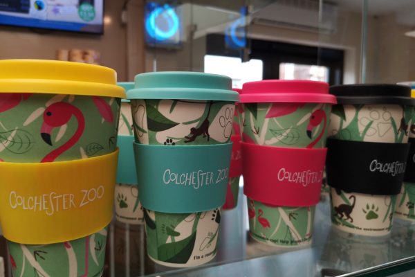 Plans to reduce paper cup usage!