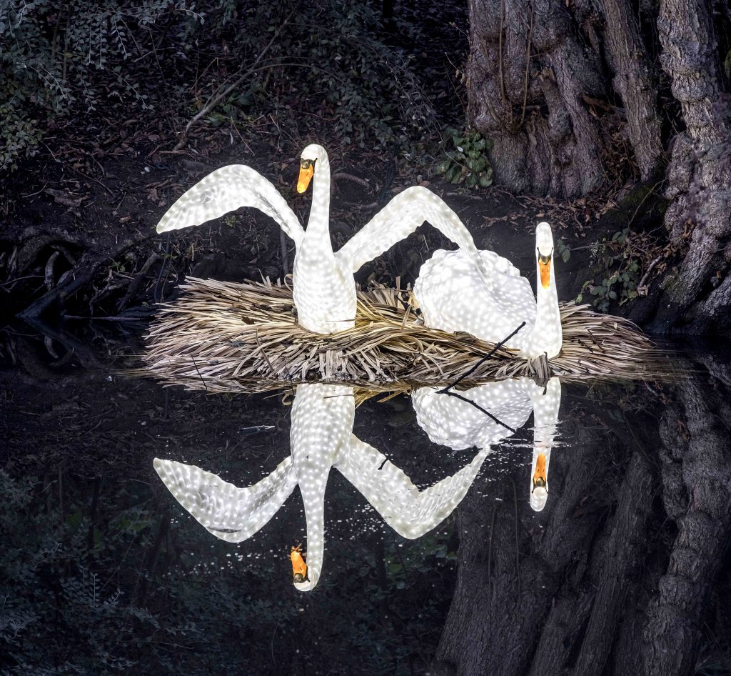 Two swan shaped lights on a nest