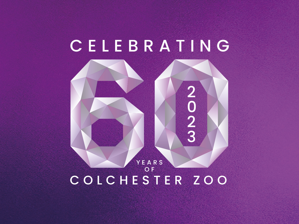 Zoobilee Celebrations – 28th May 2023