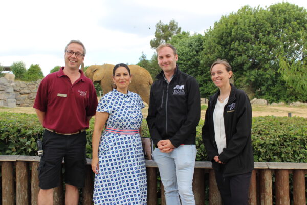Priti calls in on the elephants at Colchester Zoo