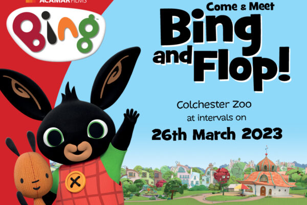Come and Meet Bing and Flop!