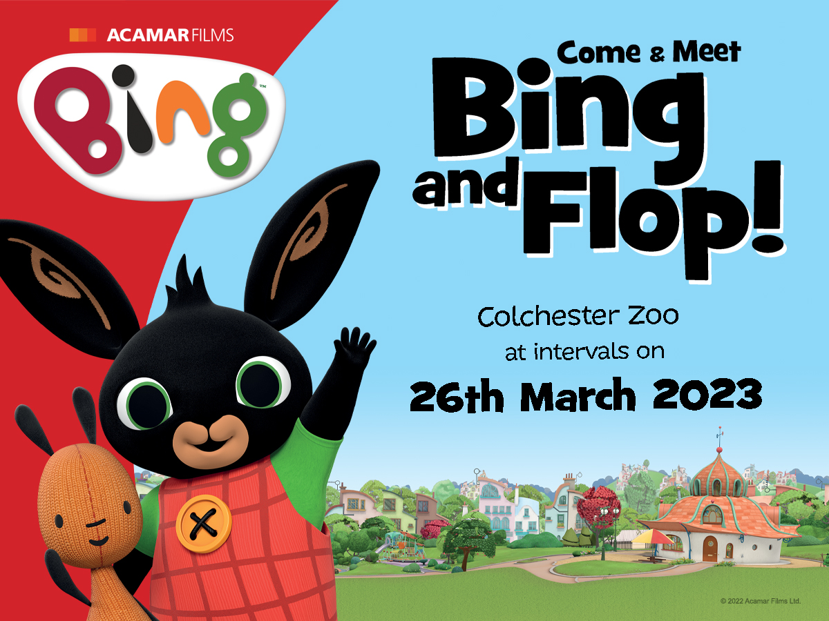 Come and Meet Bing and Flop!