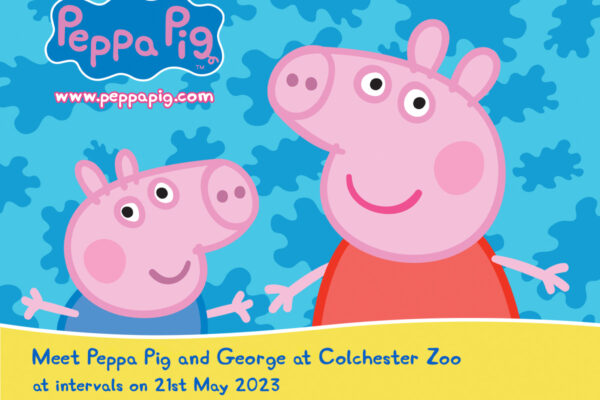 Meet Peppa Pig and George