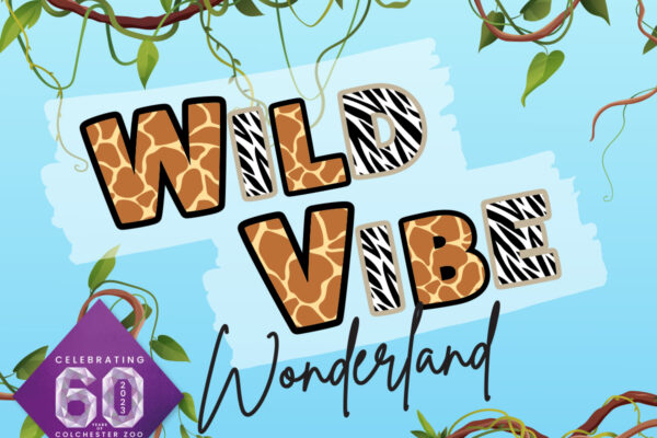 Summer at the Zoo – Wild Vibe Wonderland