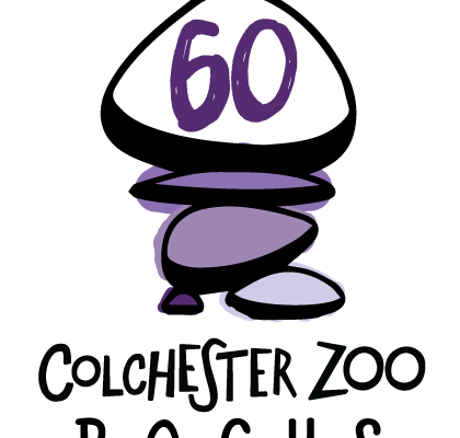 Colchester Zoo Rocks 60