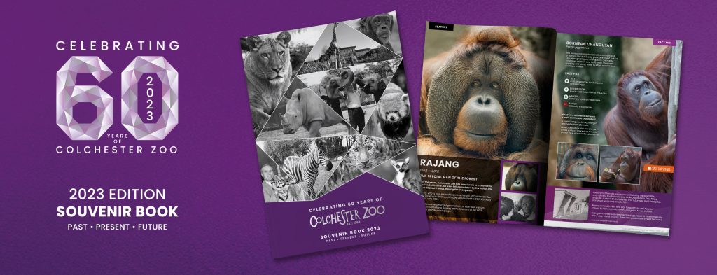 Colchester Zoo 60th anniversary souvenir book 