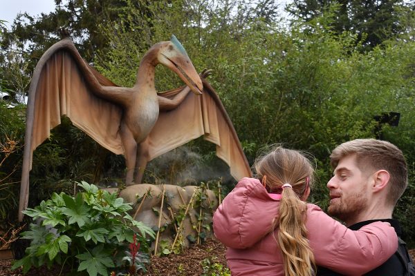 A T-rexcellent NEW attraction at Colchester Zoo