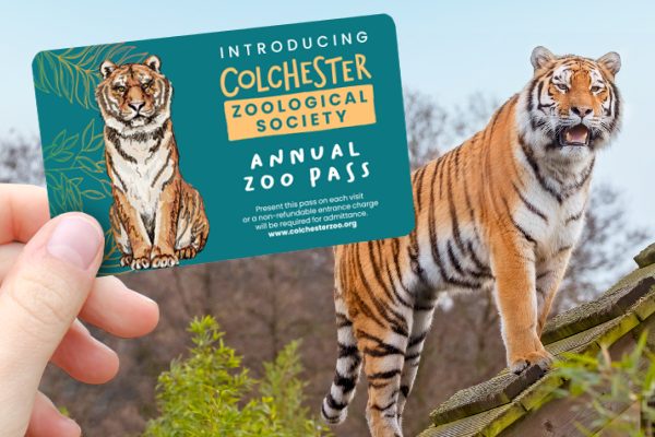 Zoo Pass Offer – 14 Months for the Price of 12!
